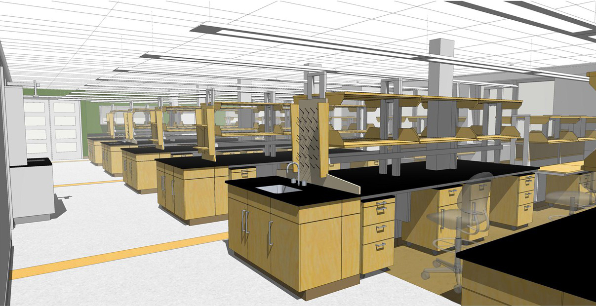 Lab rendering 