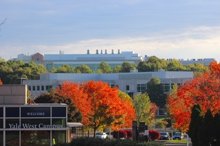 Yale West Campus