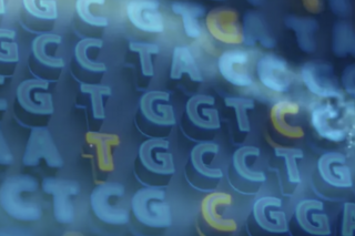 Gene sequence 