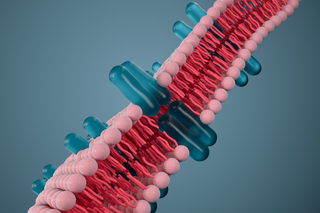 Nanobiology Institute Image