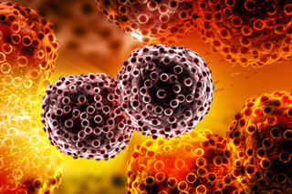 Cancer Bio Institute Image