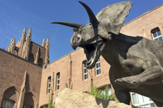 Yale Peabody Museum