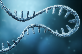 DNA strand