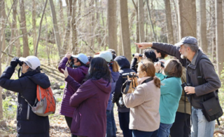 Colleagues on a bird walk at West Campus