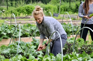 Students work the West Campus Farm