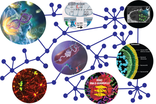 The labs of the Yale Systems Biology Institute 