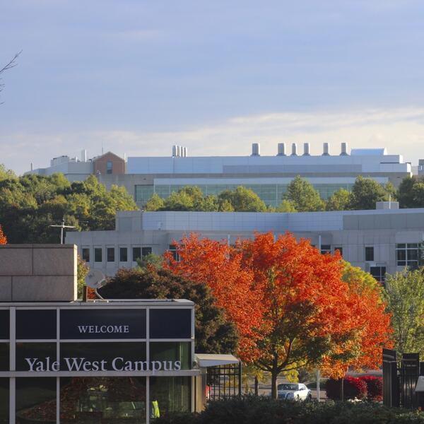 yale west campus building and trees